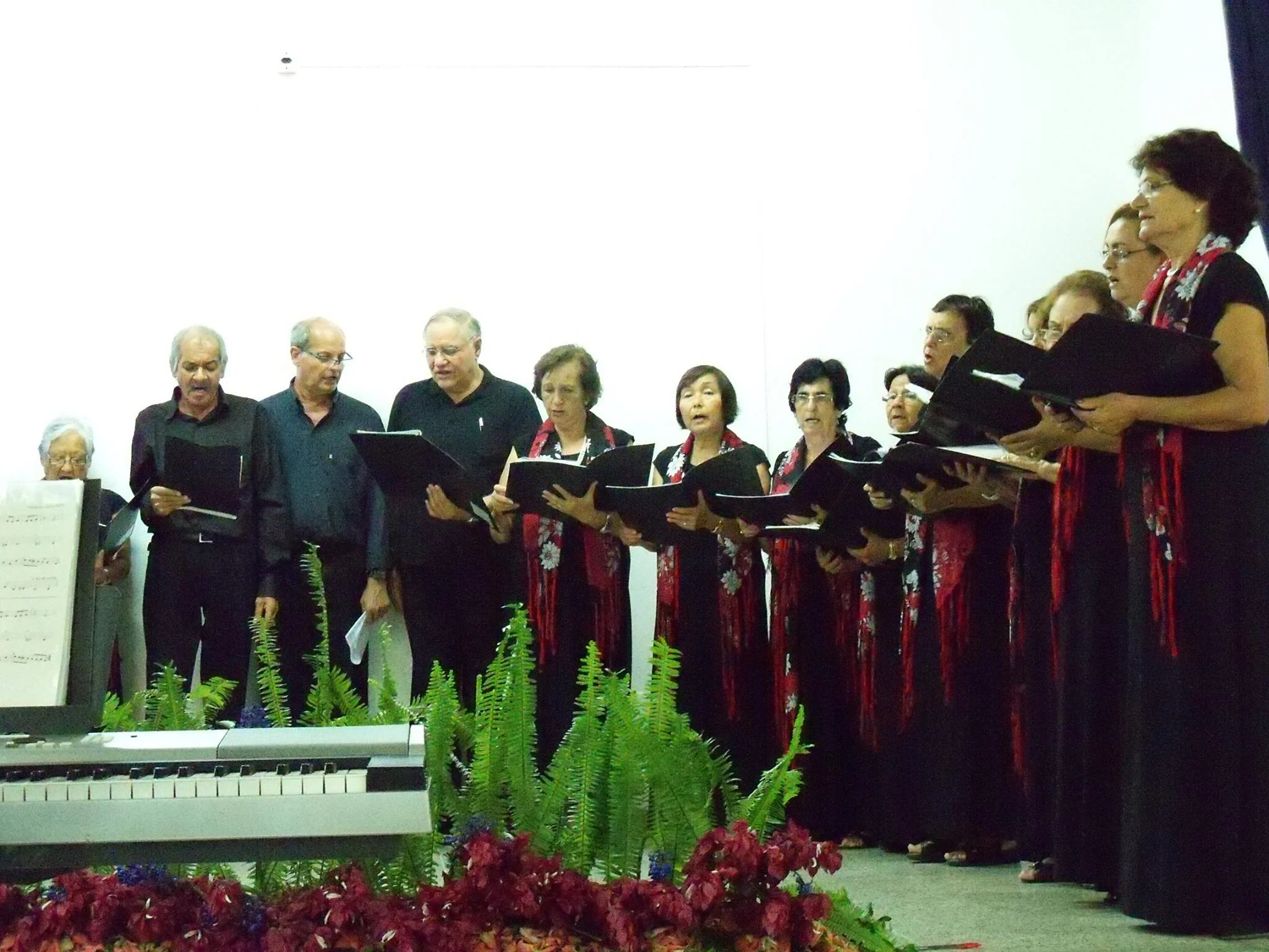 Homenagem 91 anos